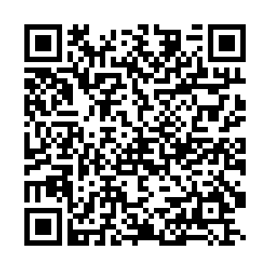 Formulario QR